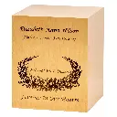 Bronze Cube Adult Urn